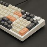 Bàn phím máy tính gaming cơ có dây Asestek AK98 grey white