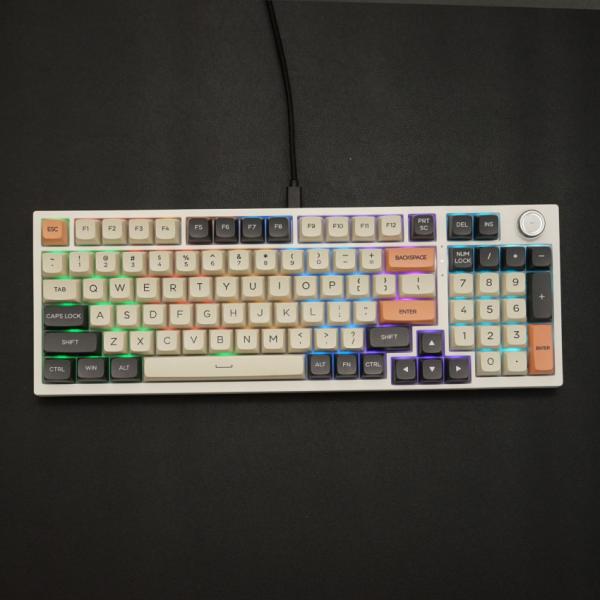 Bàn phím máy tính gaming cơ có dây Asestek AK98 grey white