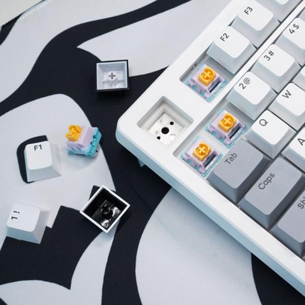 Bàn phím máy tính gaming không dây Sorex SK98W gray black Rgb 3 mode